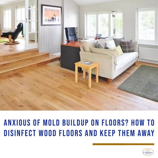 Anxious of Mold Buildup on Floors? How to Disinfect Wood Floors and Keep Them Away 1 Anxious of Mold Buildup on Floors? How to Disinfect Wood Floors and Keep Them Away