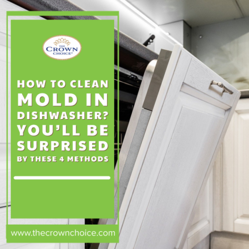 How to Clean Mold in Dishwasher? You'll be Surprised by These 4 Methods