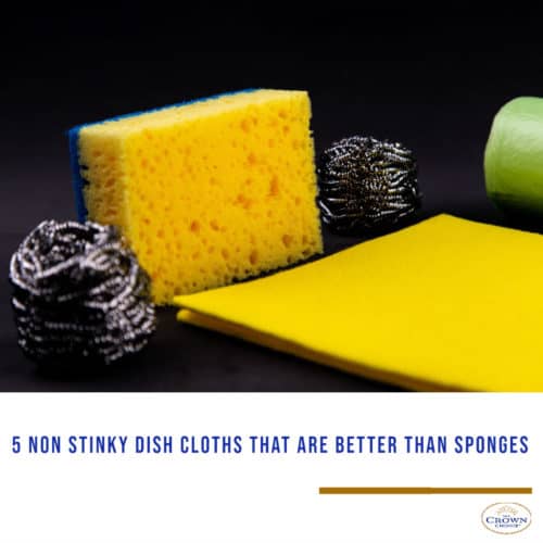stinky sponge