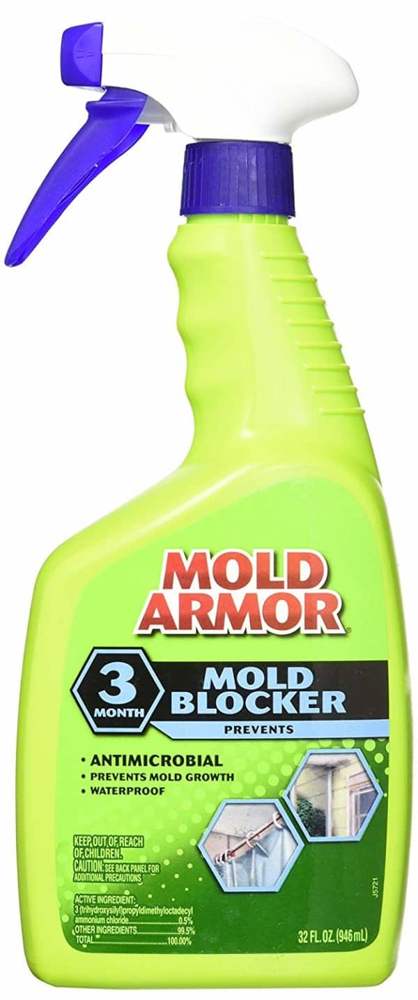 best bathroom tile cleaner for mold