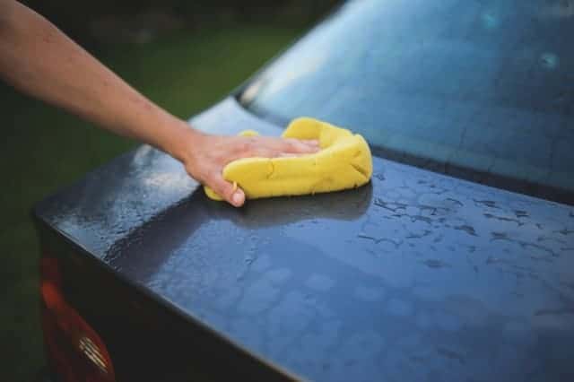 how to get smell out of sponge
